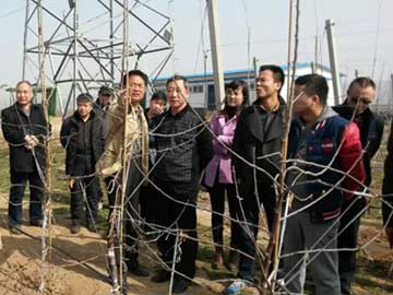 开元游戏大厅app·(中国区)官方网站