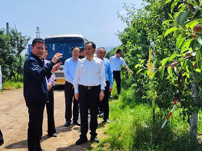 开元游戏大厅app·(中国区)官方网站