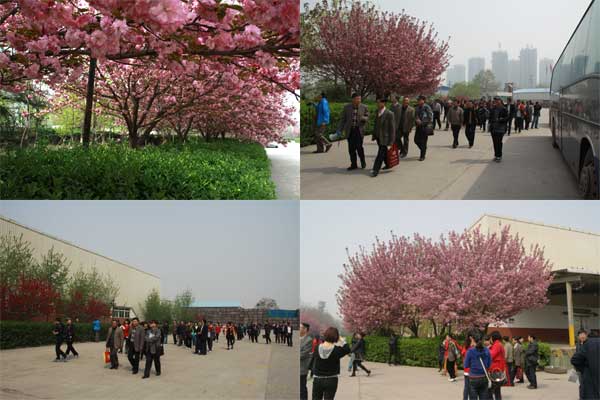 开元游戏大厅app·(中国区)官方网站