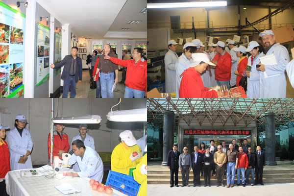 开元游戏大厅app·(中国区)官方网站