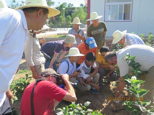 开元游戏大厅app·(中国区)官方网站