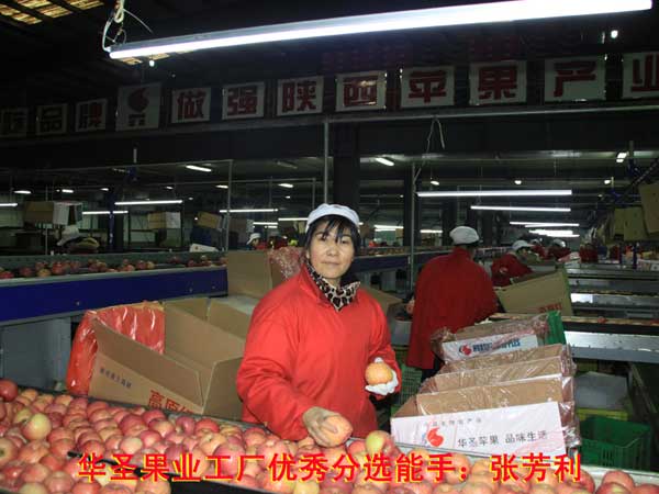 开元游戏大厅app·(中国区)官方网站