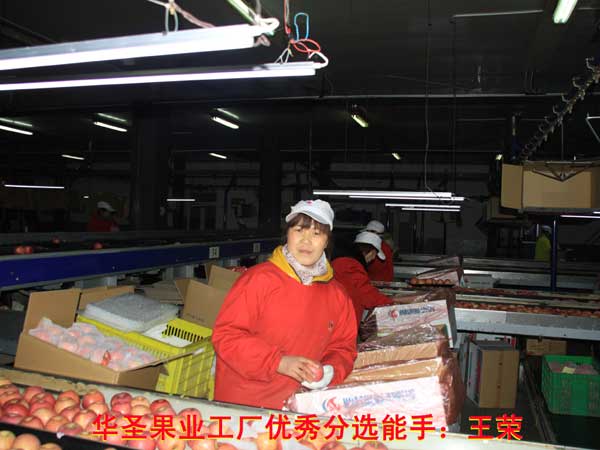 开元游戏大厅app·(中国区)官方网站