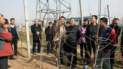 开元游戏大厅app·(中国区)官方网站