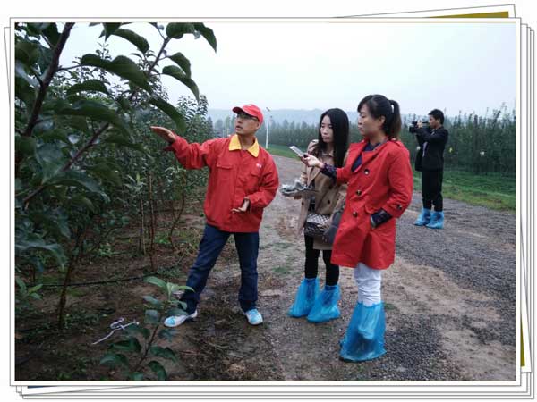 开元游戏大厅app·(中国区)官方网站