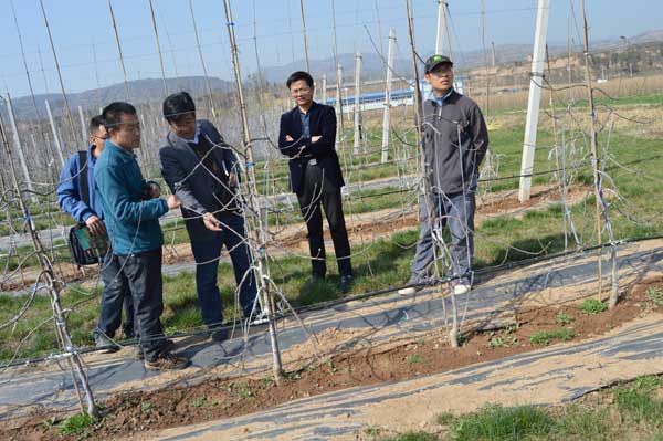 开元游戏大厅app·(中国区)官方网站